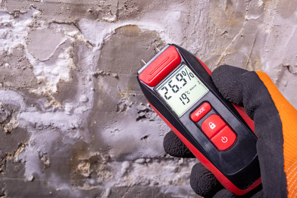 Best Mold Cleaning Services  in Cave City, AR