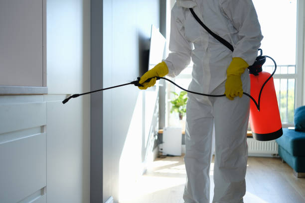 Best Emergency Mold Removal  in Cave City, AR