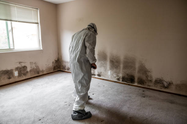 Best Mold Testing  in Cave City, AR